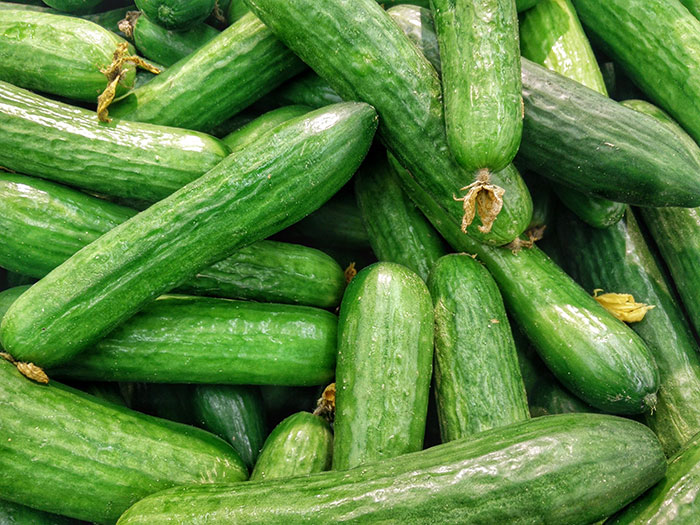 Different size of cucumbers in one place