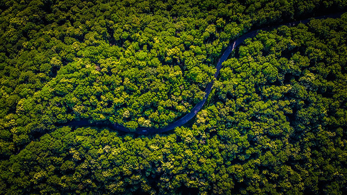 Picture of river in the Amazon jungle