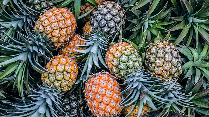 Different size of pineapples in one place