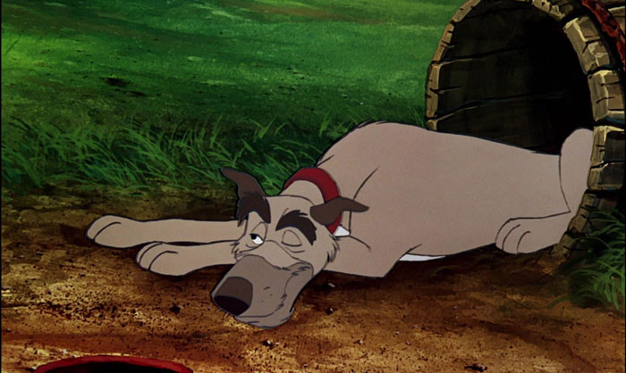 Chief - The Fox And The Hound