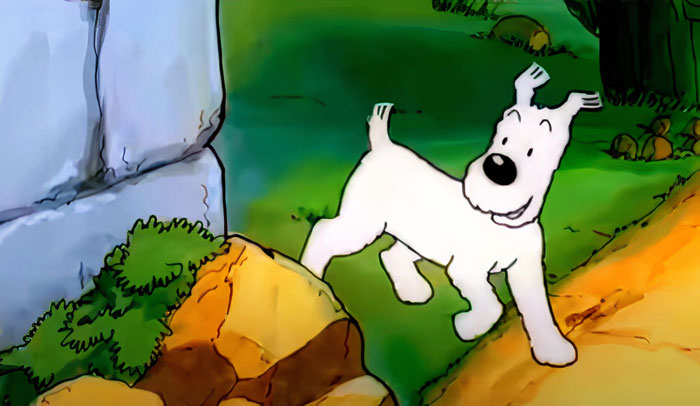 Snowy - The Adventures Of Tintin