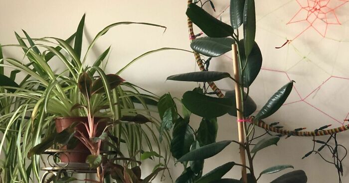 Hey Pandas, Share The Prettiest Part Of Your Home (Closed)