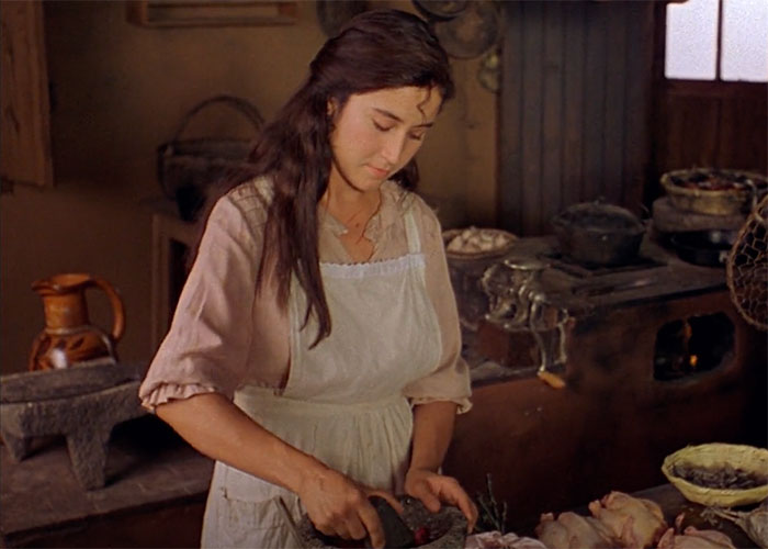 Like Water For Chocolate character cooking