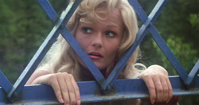 Valerie Perrine looking at someone through a metal fence 