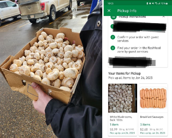 Hit The Jackpot, 10lb (Yes, Pounds) Of Mushrooms For $9!