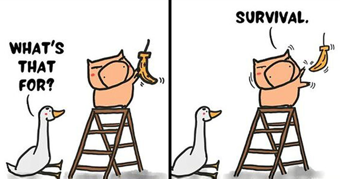 My 30 Hilarious Pig Comics That Offer A Glimpse Into The Quirks Of Asian Family Life