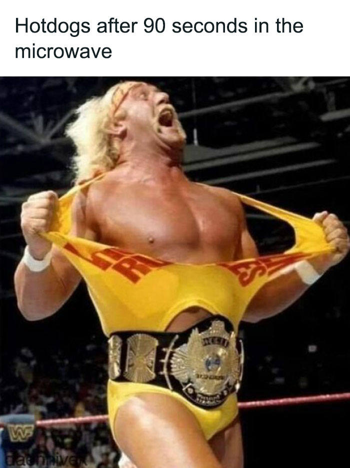 Funny-Food-Jokes-Memes-Wannabe-Food