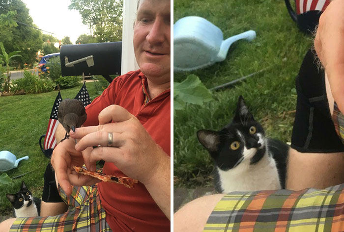 My Uncle Found A Bird. His Cat Is Jealous