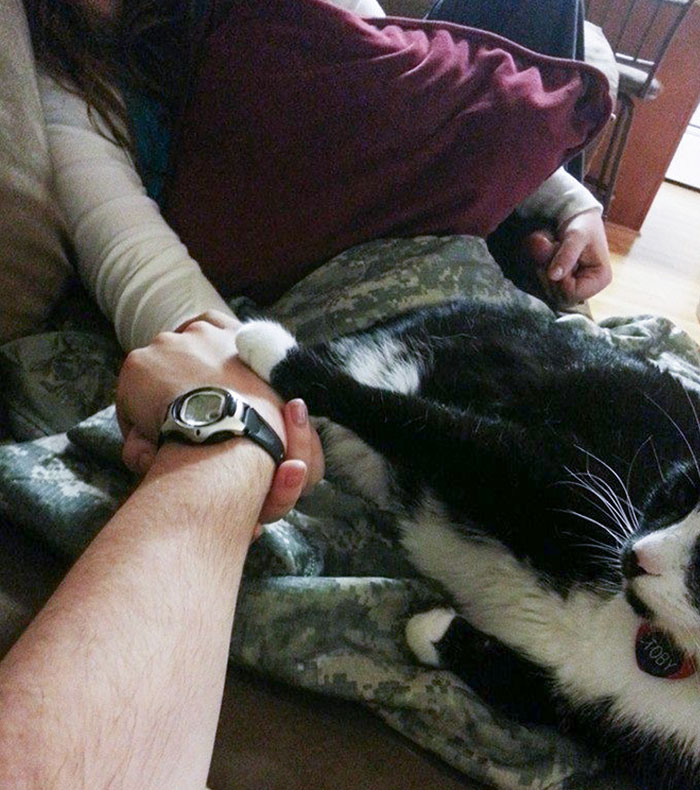 Reached Over To Hold My Wife's Hand And Someone Immediately Got Jealous