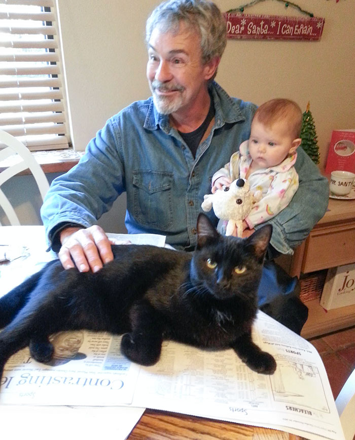 Every Morning My Stepdad's Cat, Shiba, Sits On His Lap And Reads The Paper With Him. Back At Christmas, My Stepdad Met His Granddaughter For The First Time