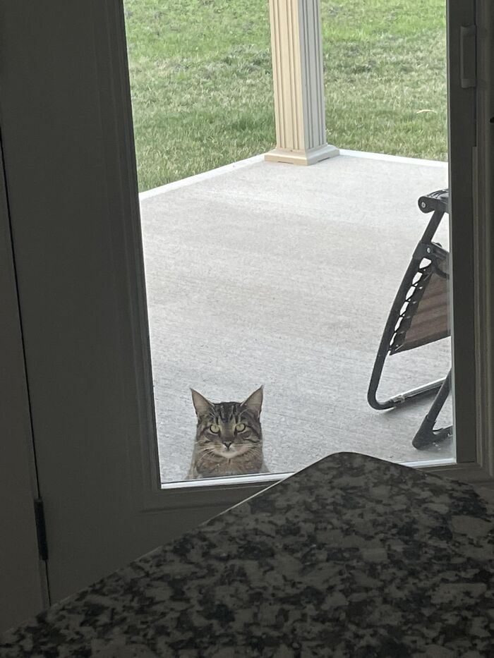 Lol I Named Him Rigoberto