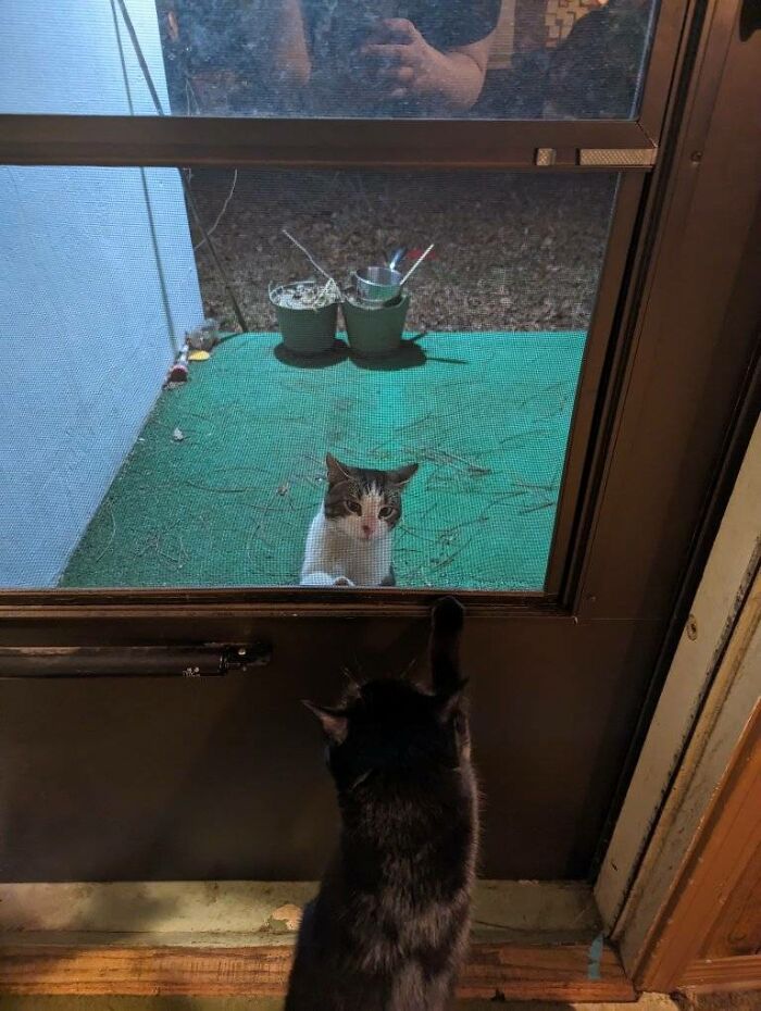 It Finally Happened! I Have Been Chosen!