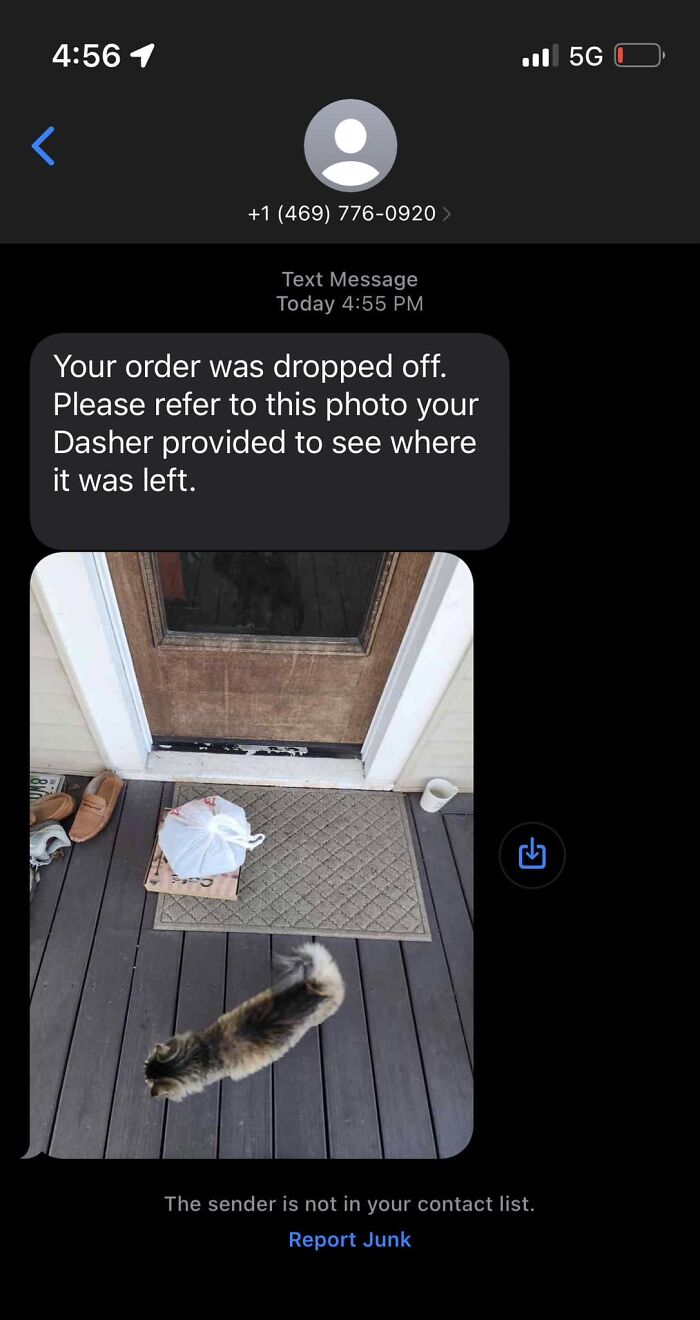 My House, Not My Cat (But Would Like To Be)