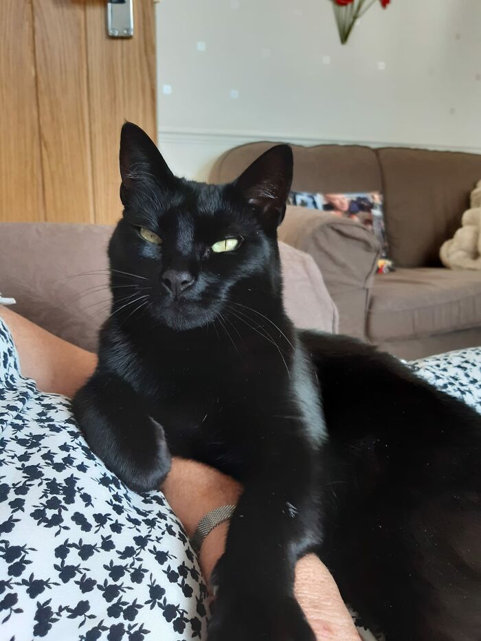 This Is Ella. She Lives In A House Over The Back Of Our Garden