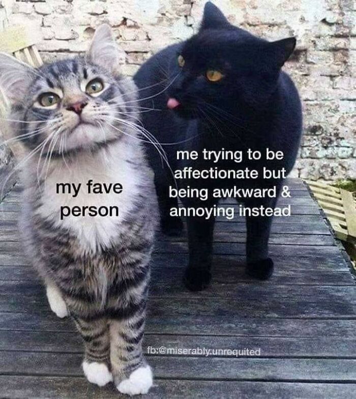 Funny-Relatable-Therapy-Memes-Alarming-Content