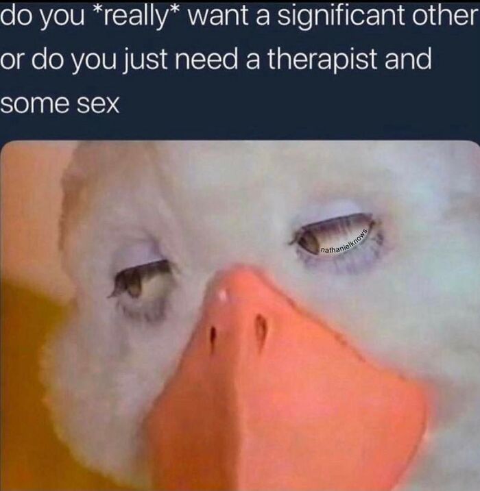 Funny-Relatable-Therapy-Memes-Alarming-Content