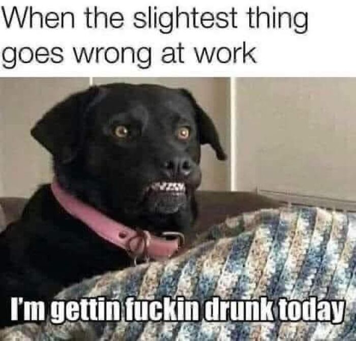 Funny-Relatable-Work-Memes-Jokes