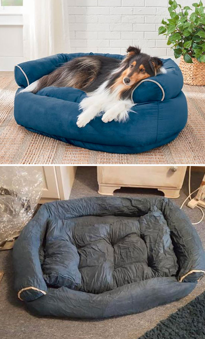 The Dog Bed My Mum Ordered For 99€