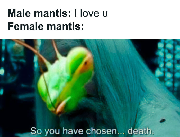 Funny-Smart-Memes-Memesonscience