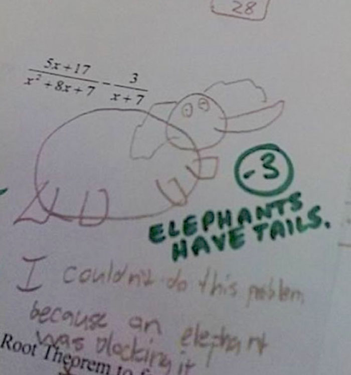This Student Forgot To Draw The Tail