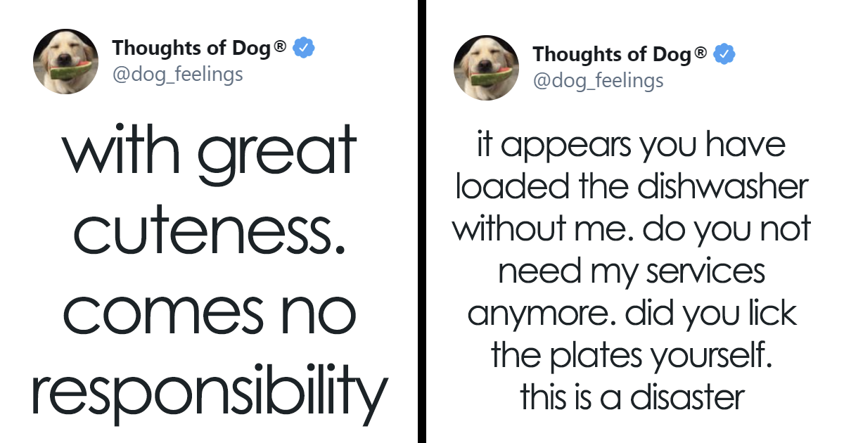 40 Of The Most Hilarious And Wholesome Dog Thoughts, As Shared By This