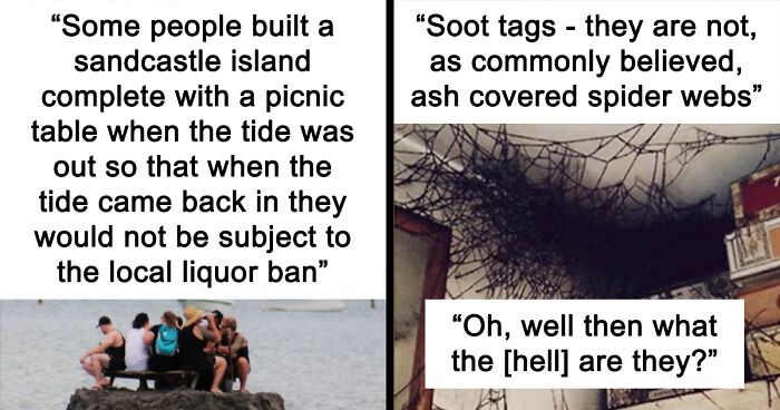 50 Hilarious Screenshots From Tumblr That Prove It’s One Of The Silliest Places On The Internet