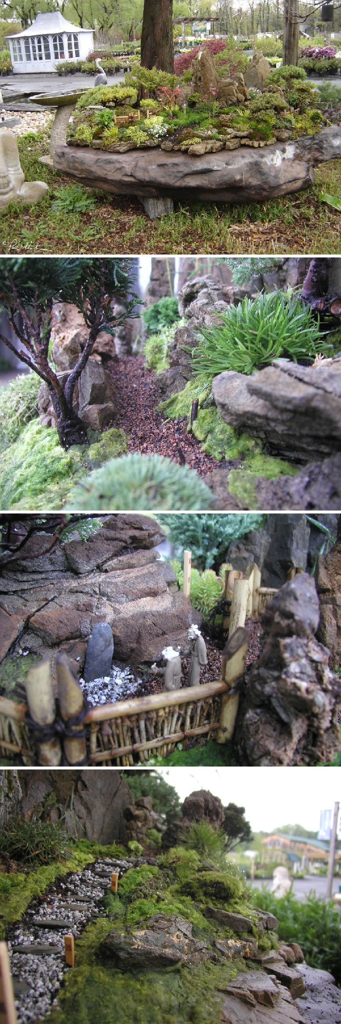 Este es un jardín de hadas para niños que planté hace unos años. Vive en una roca de 1,5 metros, tiene una variedad de árboles de hoja perenne y caducifolios y plantas de cobertura, musgos y suculentas. Es un ecosistema vivo en miniatura y es el hogar de abejas, pájaros, mariposas, escarabajos y hadas