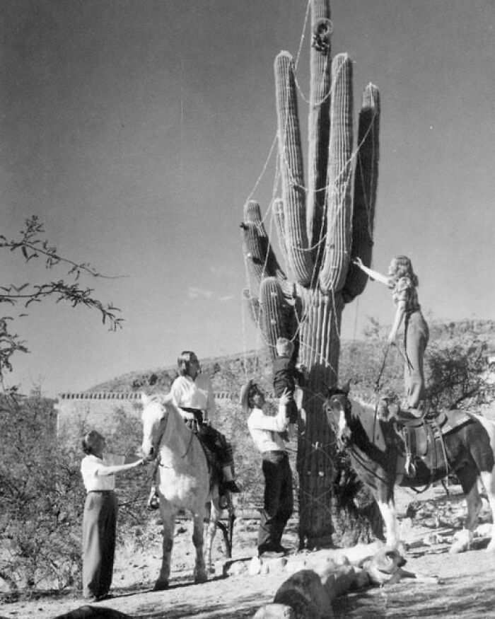 "Gente decorando un saguaro como si fuera un árbol de Navidad en el sur de Arizona, alrededor de 1930". Sociedad Histórica de Arizona