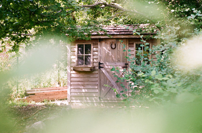 Wooden shed surrounded by greenery, showcasing a cozy home organization idea.