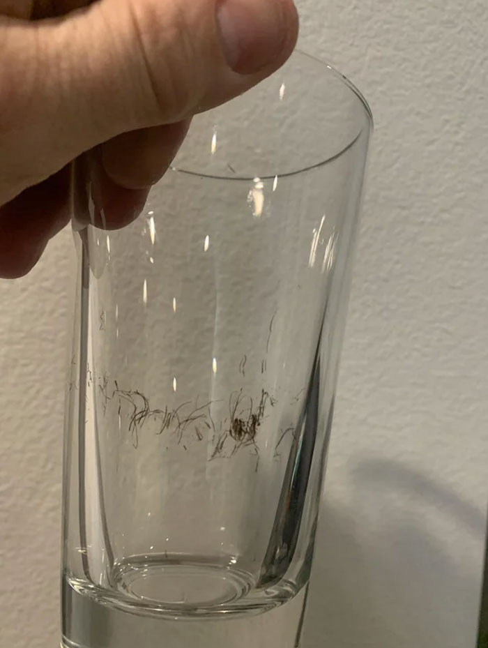Hair Of The Dog? Friends House, Straight Out Of The Dishwasher And The Hair Appears To Be Burned Onto The Glass Somehow