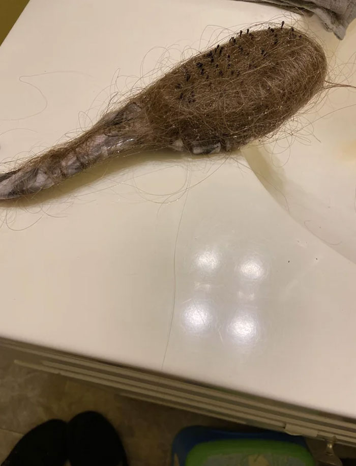 The Hairbrush My Daughter Leaves Hanging In The Shower