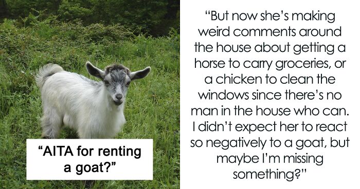 Man Pays His Mate 20 Bucks To Bring His Goat Over So It Can Take Care Of His Overgrown Lawn, Upsets Wife