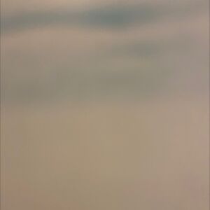 erikaraymond_1 avatar