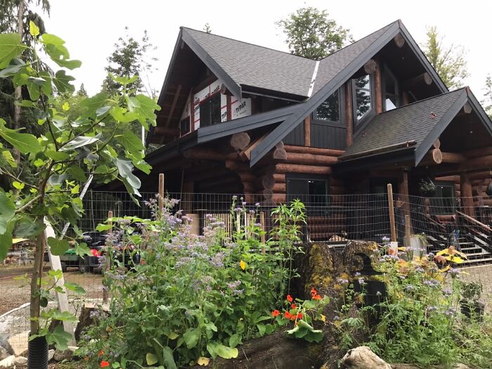 Cabin Wildflower Garden