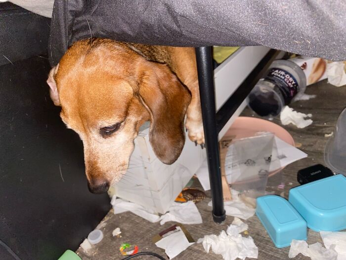 Fūcker Got Stuck Under My Bed