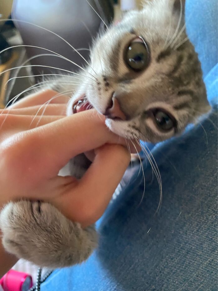 She’s A Bit Mean Sometimes