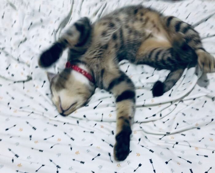 She Can Stay Like This For Hours