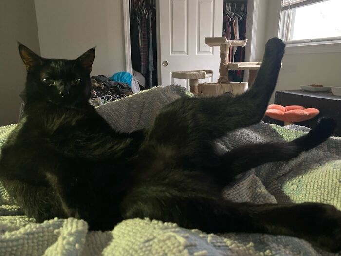 Homie Says, “Draw Me Like Your French Girls.” Iykyk