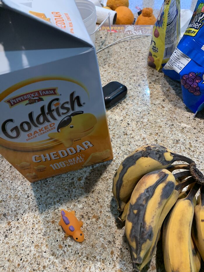 A Bunch Of Thai Bananas Next To A Massive Box Of Goldfish And A Squishy Stegosaurus