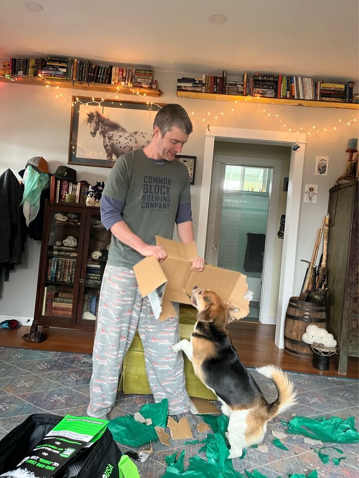 Po Loves To Tear Up Any Kind Of Paper. Boxes, Wrapping Paper, Bills That Need Shredding