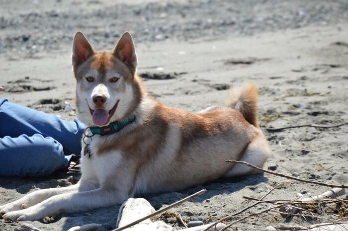 Jeffrey Looking Majestic Af At The Beach 🥰