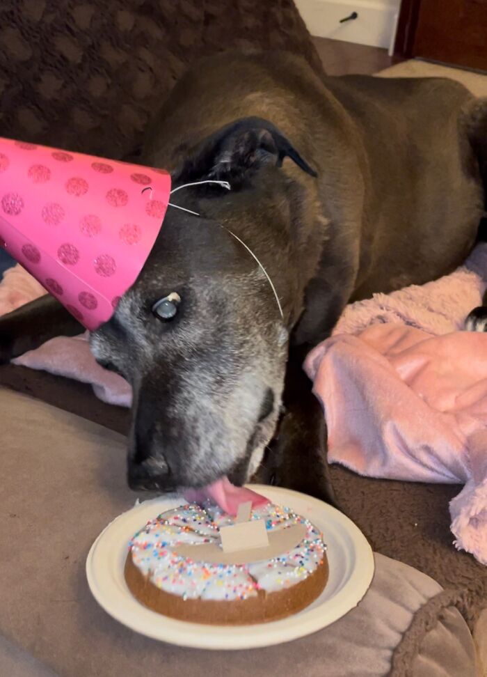 Kona On Her 15th Birthday