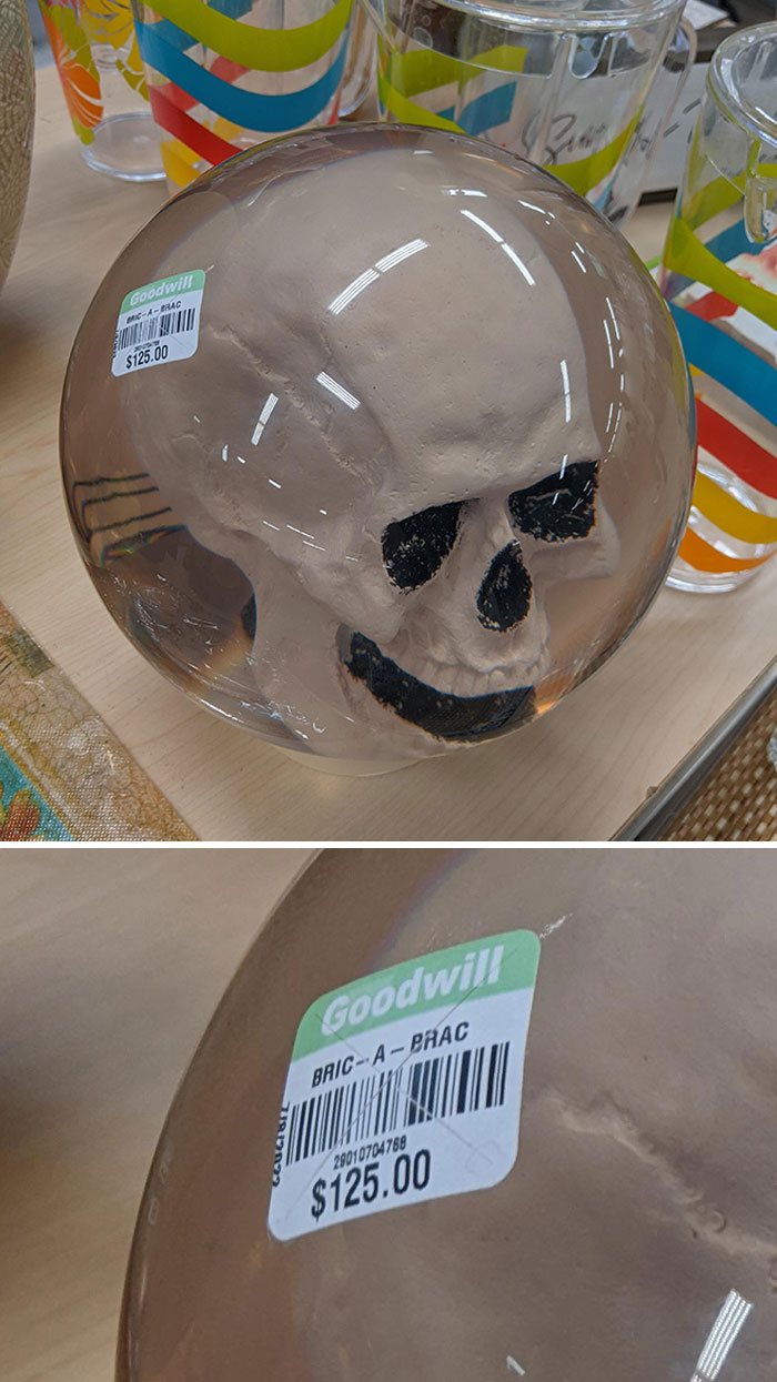 $125 Goodwill Find: Lousy Plaster Skull In Solid Glass
