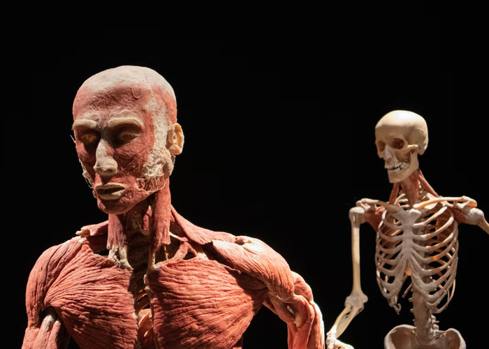 25 Datos terroríficos sobre nuestro cuerpo que probablemente no quieras saber