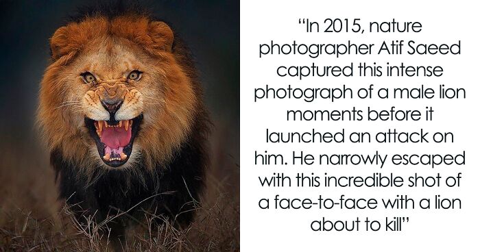 50 Random Facts That Sound Strange But Are True, As Shared By This Twitter Account (New Pics)