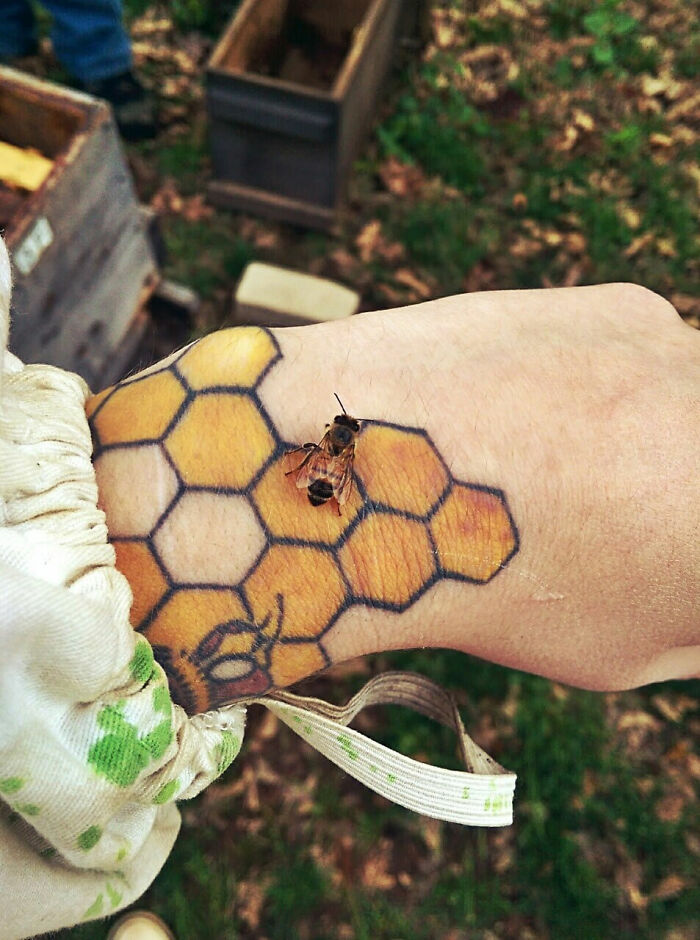 This Bee Landed On A Tattoo Of A Honeycomb