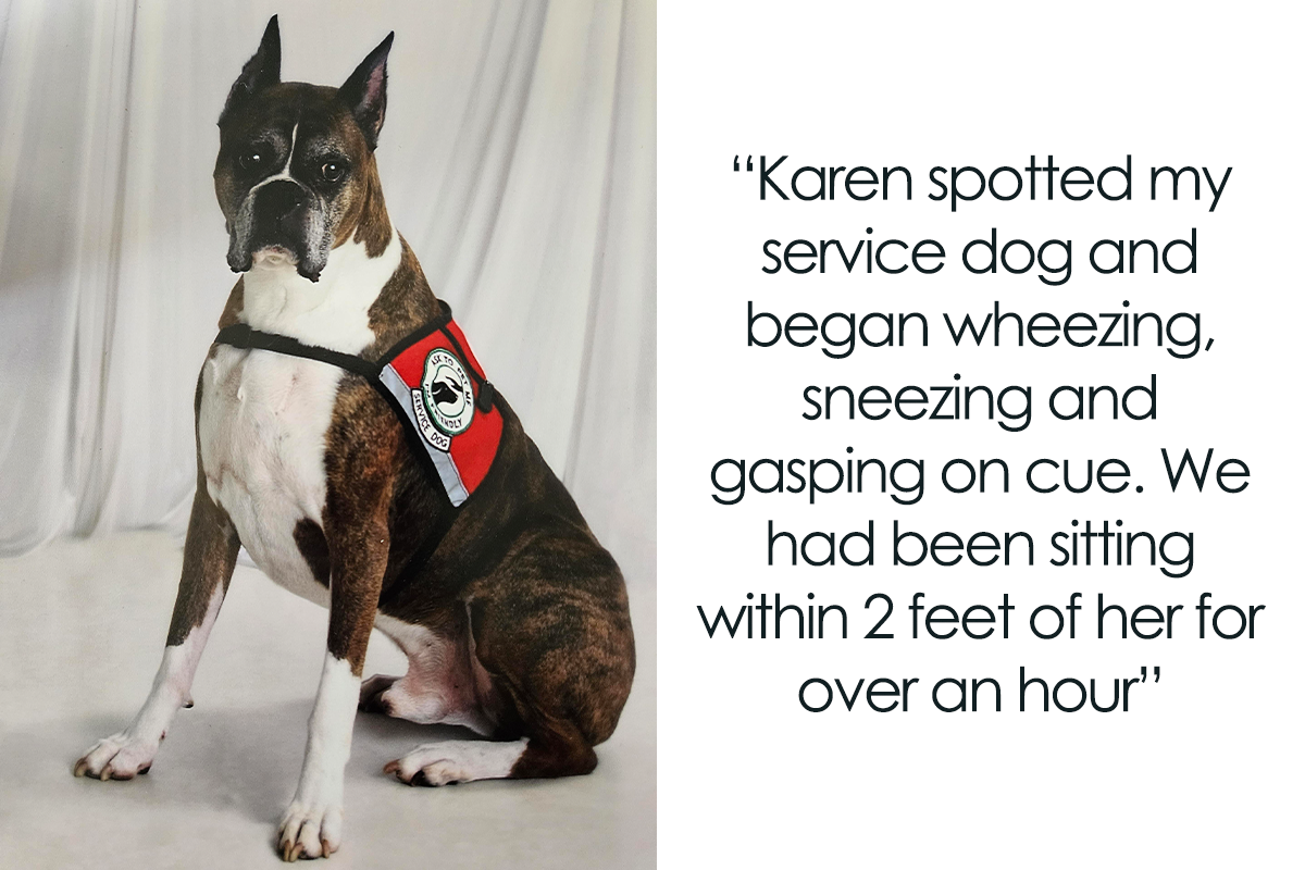 Do Service Dogs Get Bored