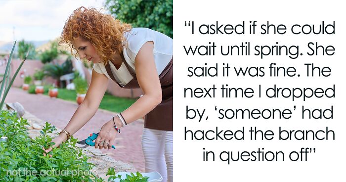 “By The Time This Problem Becomes Obvious, We Will Be Long Gone”: Woman Plants Mint In Her Partner’s Family’s Garden To Get Revenge On Rude Neighbor