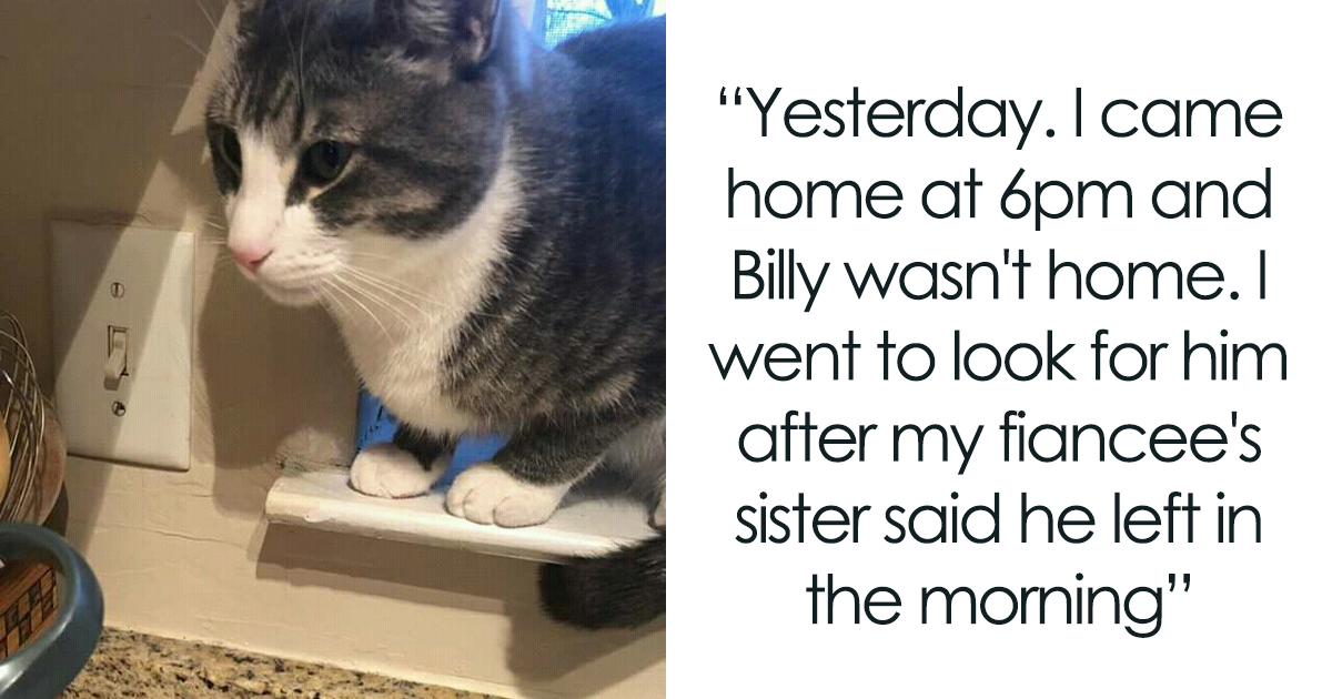 Man Gets Called “Unsupportive” After He Booted His Pregnant Sister-In-Law Out Of His House For Mistreating His Cat