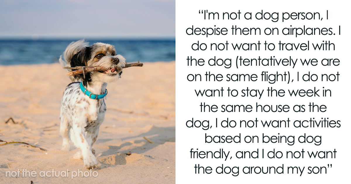 Man Is Against His Brother Bringing His Dog On Family Vacation And Is Now Undecided On Whether He Should Go - Vimarsana News